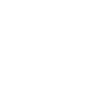 guichard-flaticone